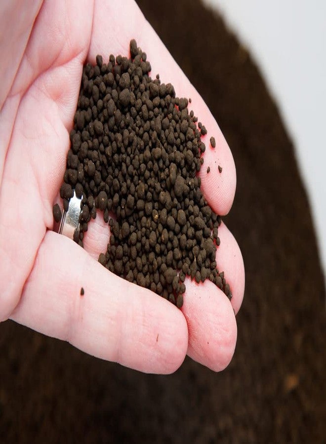 aqua nature ADA Aqua Soil Amazonia Ver.2 3L - Image 2